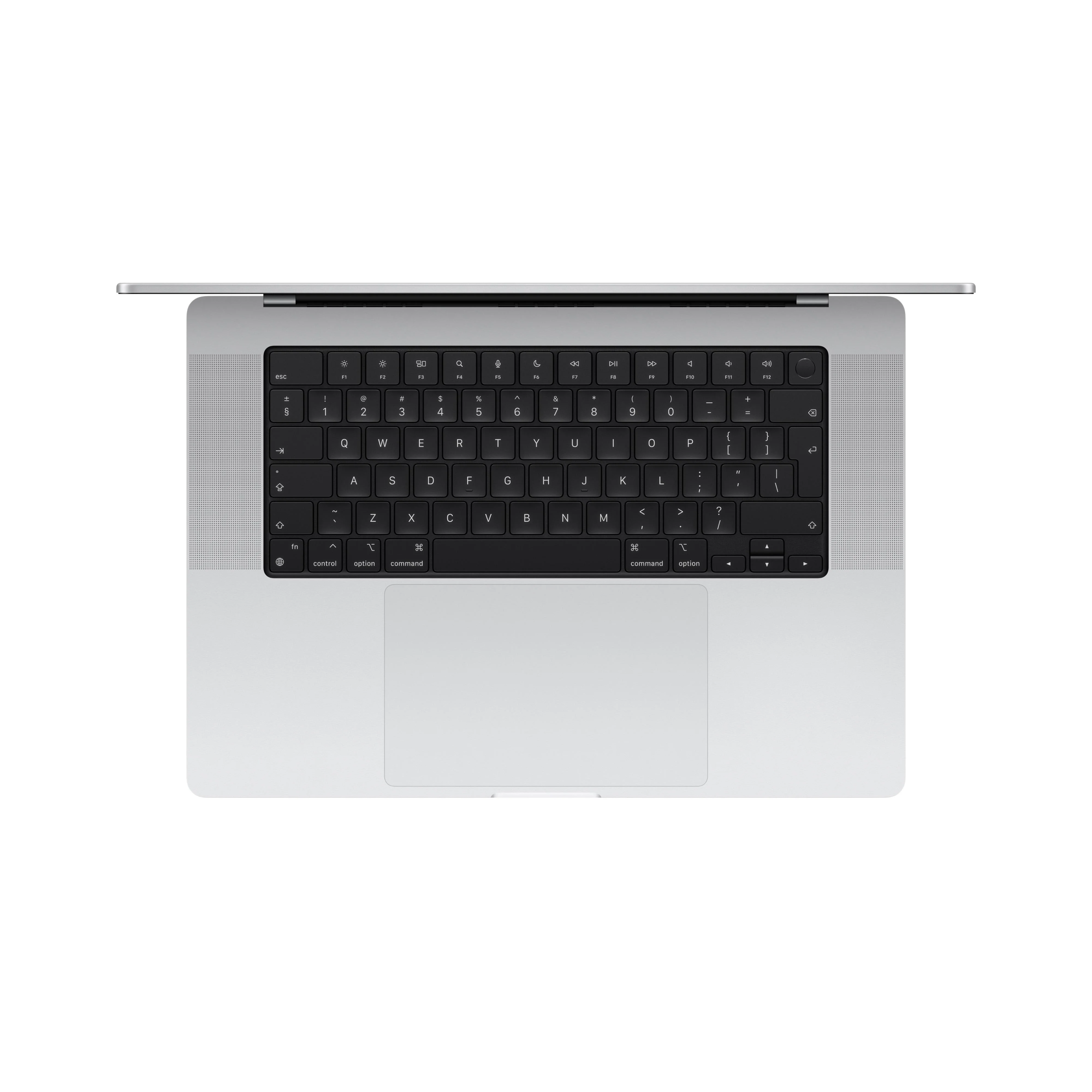 Miniatuur 2